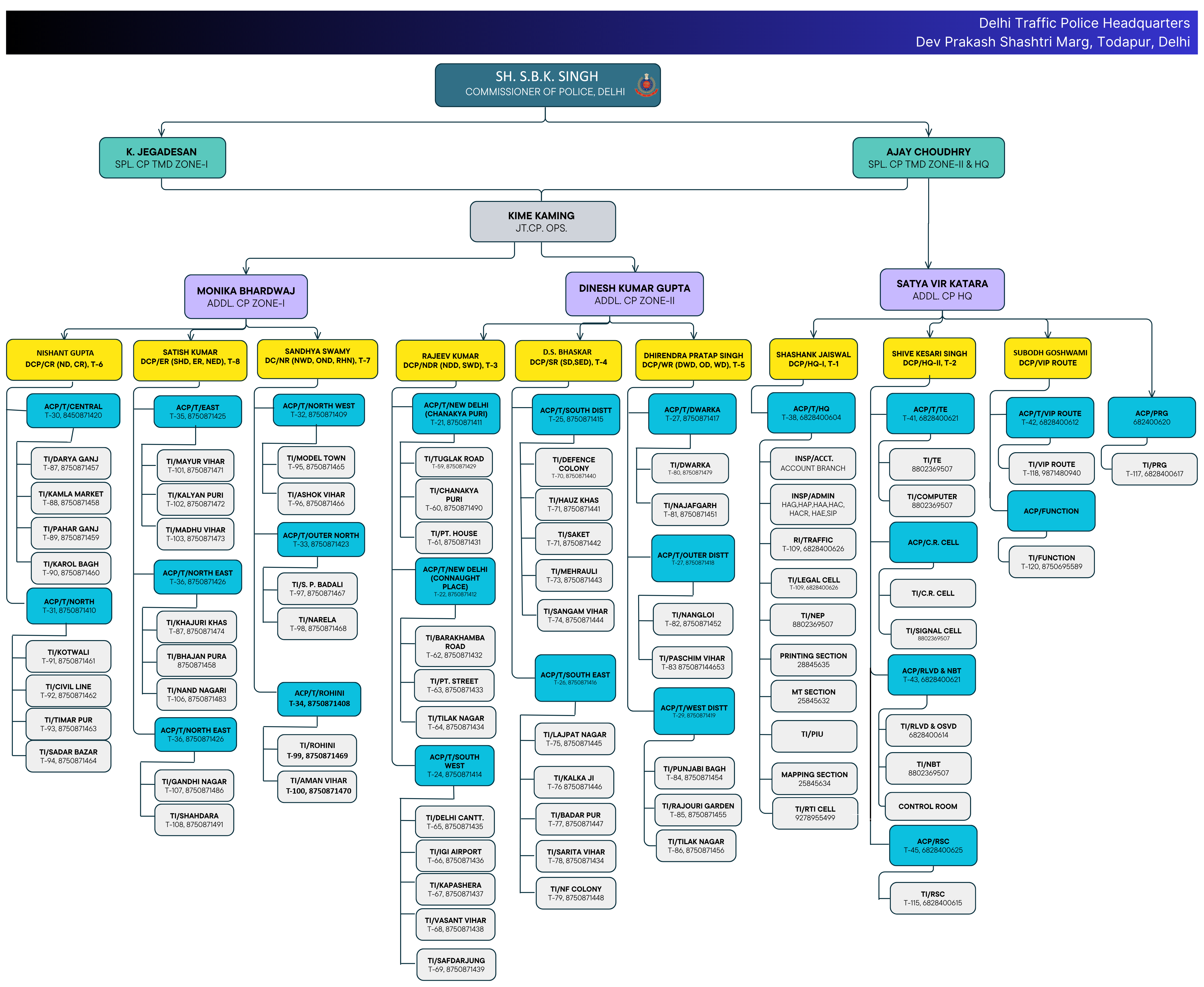 Organization Chart