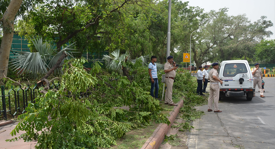 Disaster Management