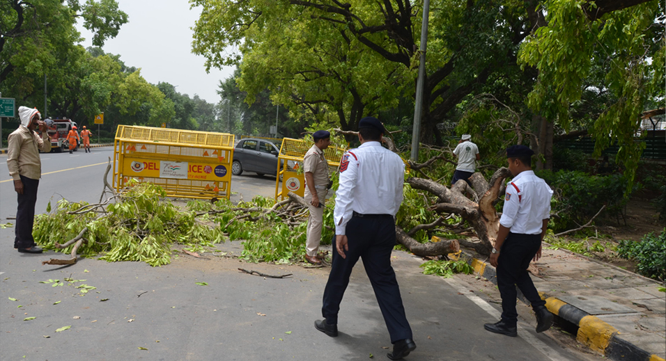Disaster Management