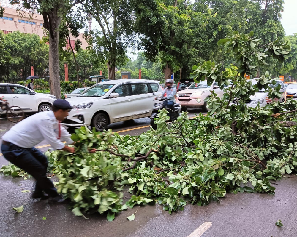Road Safety
